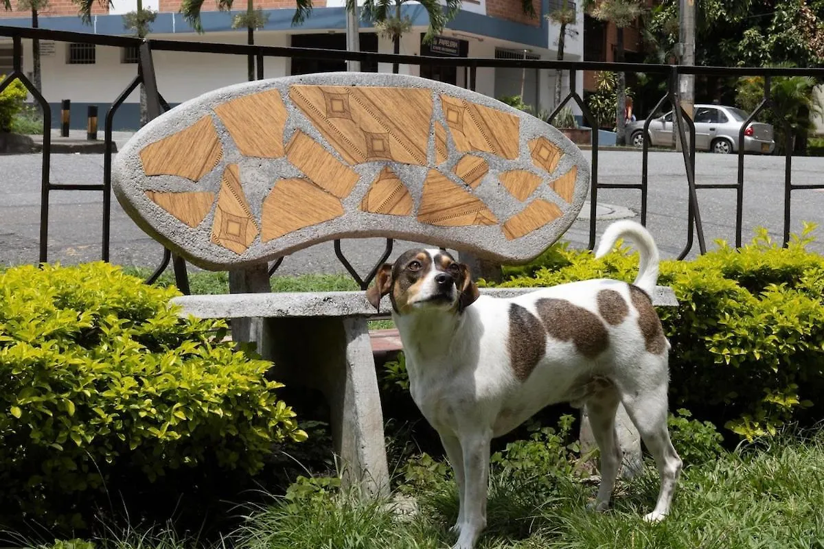 메딜린 Casa Amplia Y Acogedora En El Corazon De Laureles 빌라 0*,