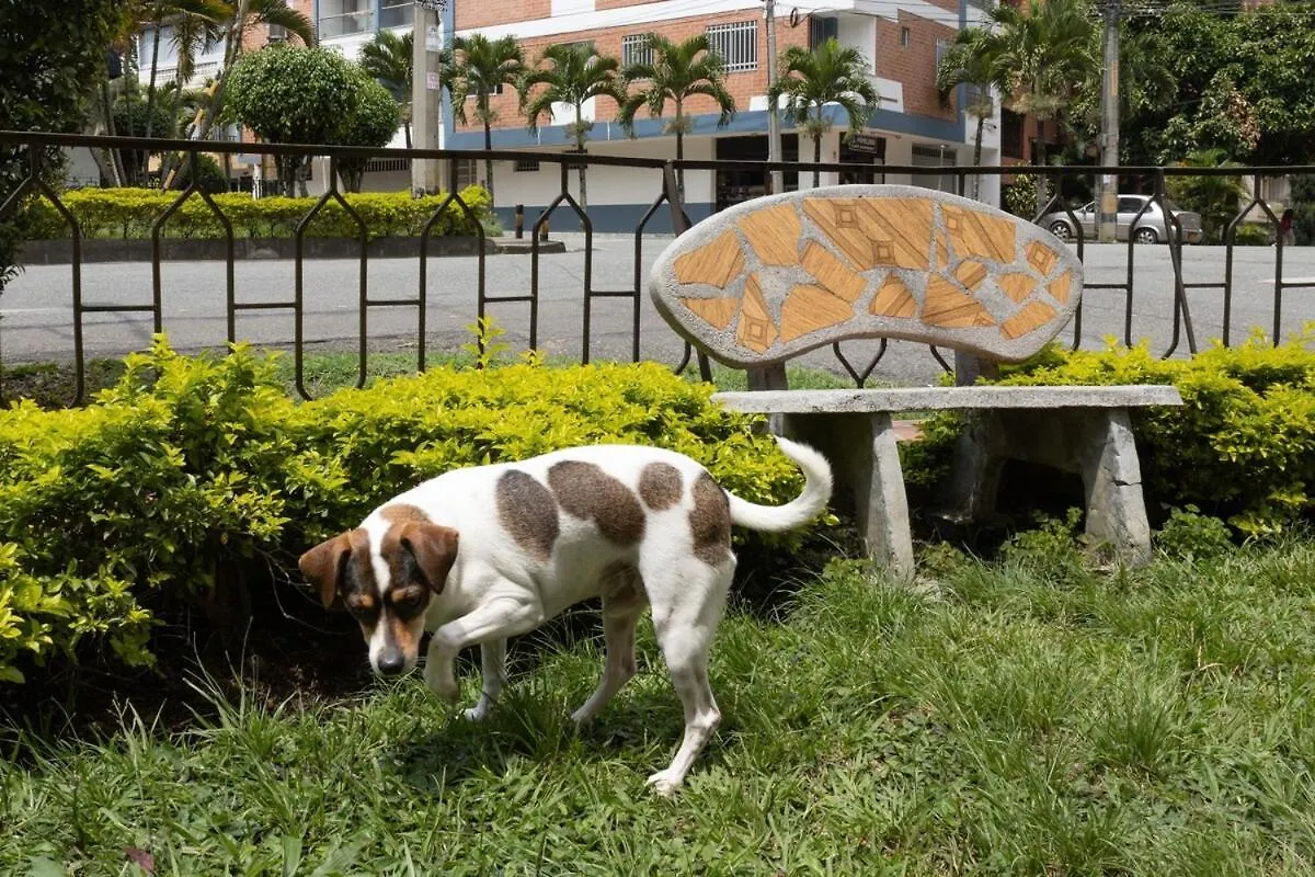 Villa Casa Amplia Y Acogedora En El Corazon De Laureles à Medellín Hébergement de vacances