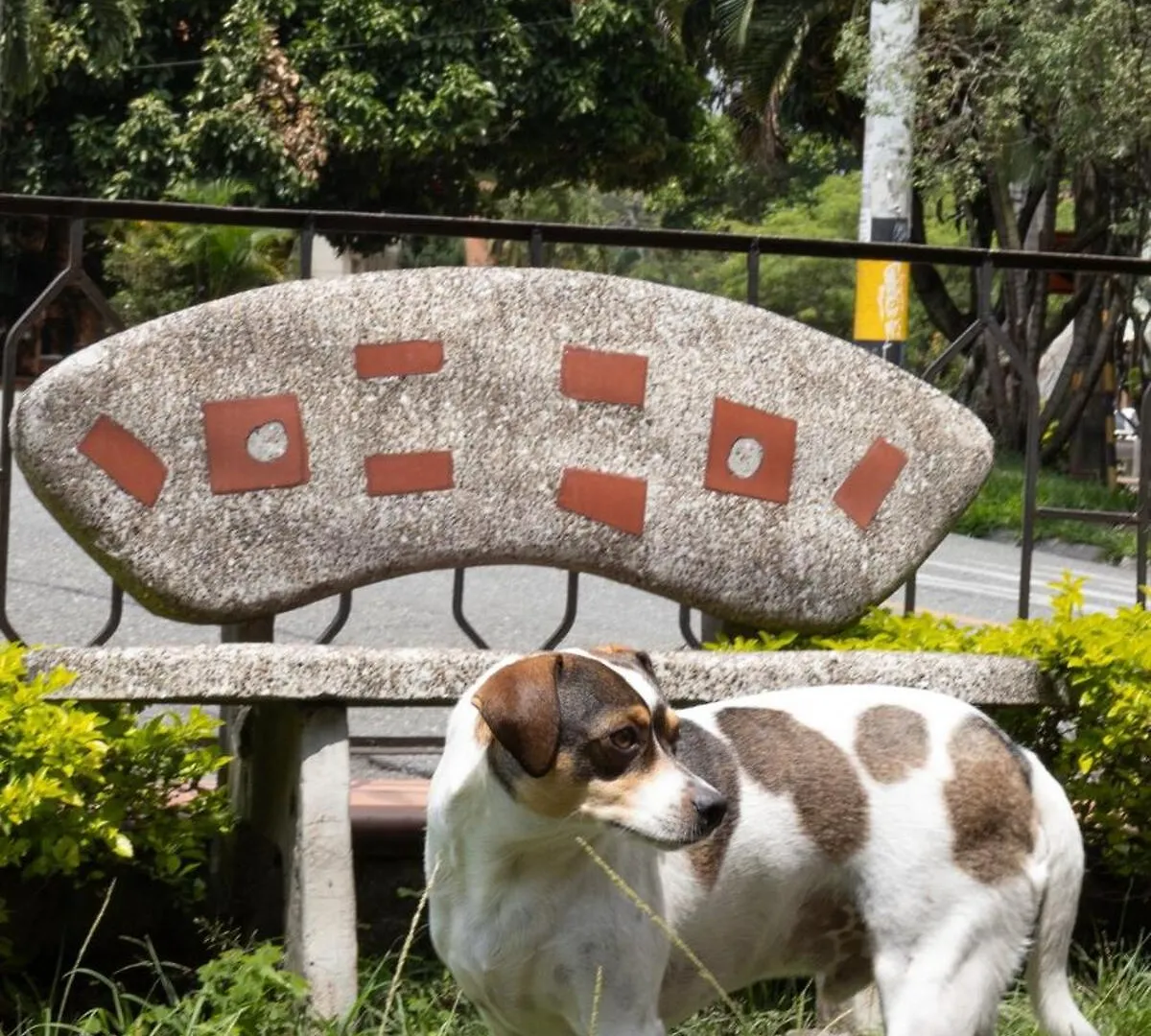 Villa Casa Amplia Y Acogedora En El Corazon De Laureles à Medellín Colombie